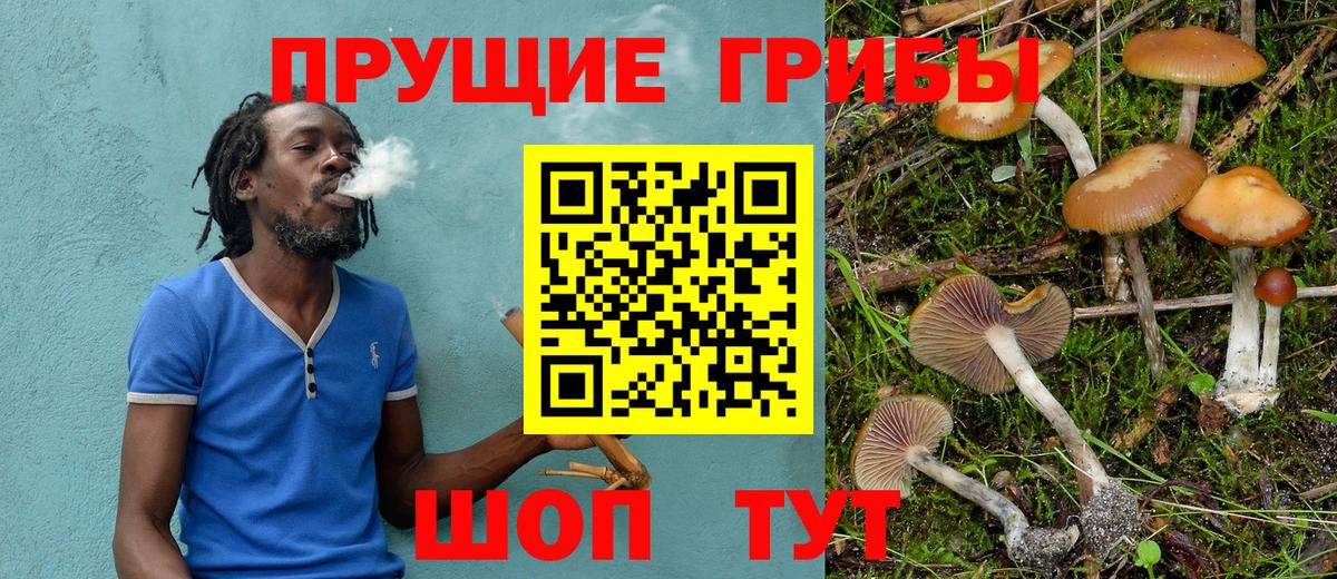 Галлюциногенные грибы GOLDEN TEACHER  Вход с VPN  Гусев  Псилоцибиновые грибы Cubensis 