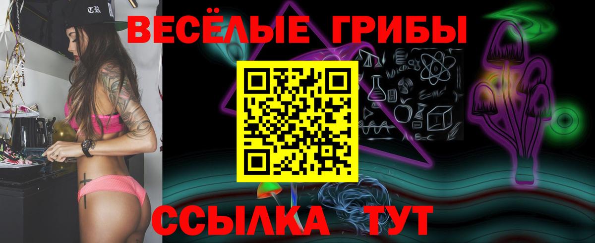 Псилоцибиновые грибы Psilocybe Гусев
